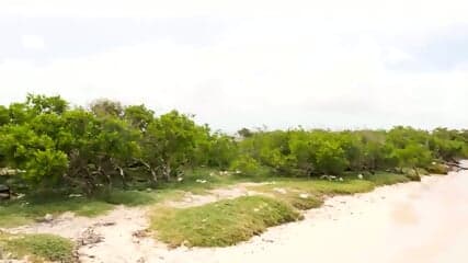 how about beach sex in the bahamas