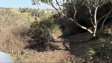 Mannie Coco Fucks Lillian Phillips In The Woods